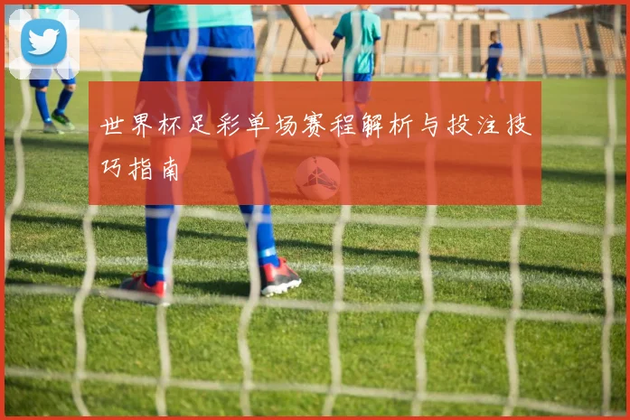 世界杯足彩单场赛程解析与投注技巧指南
