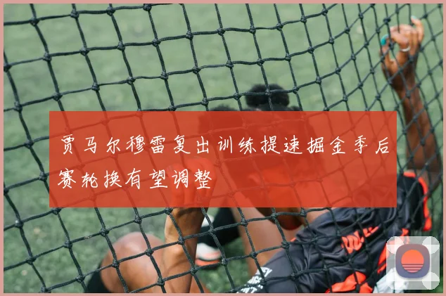 贾马尔穆雷复出训练提速掘金季后赛轮换有望调整