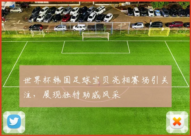世界杯韩国足球宝贝亮相赛场引关注,展现独特助威风采